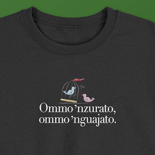 FELPA_NP0507-